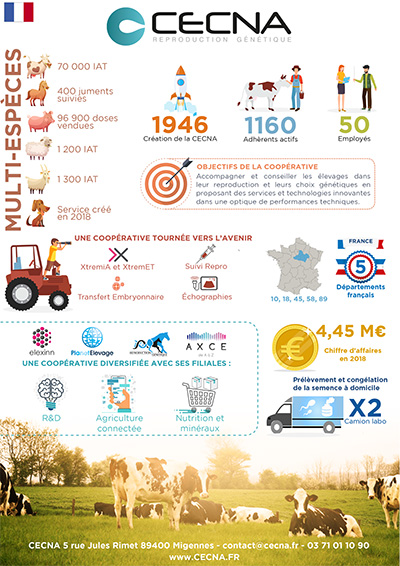 Flyer infographique d'une coopérative agricole : Les chiffres clés de la CECNA