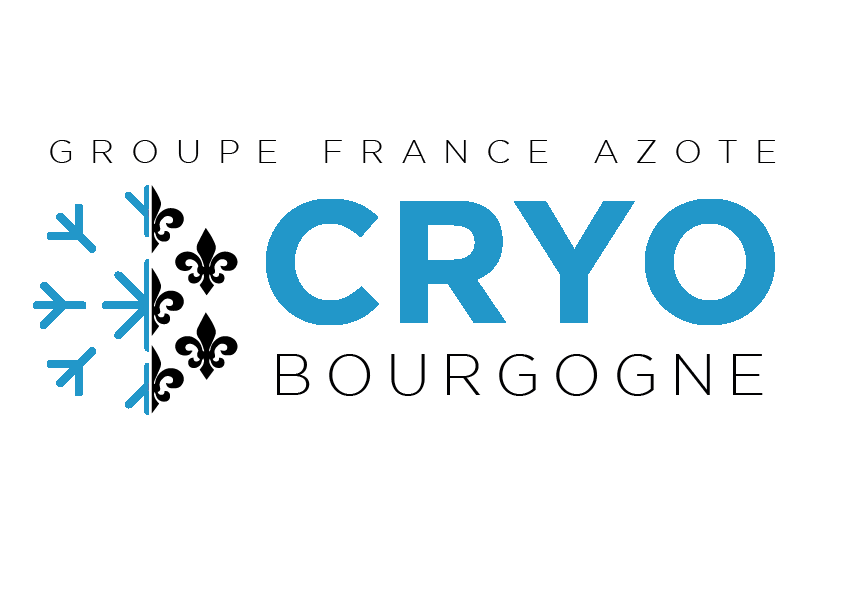 Logo Cryo Bourgogne : Logo avec les fleurs de lys de Bourgogne et un demi-flocon