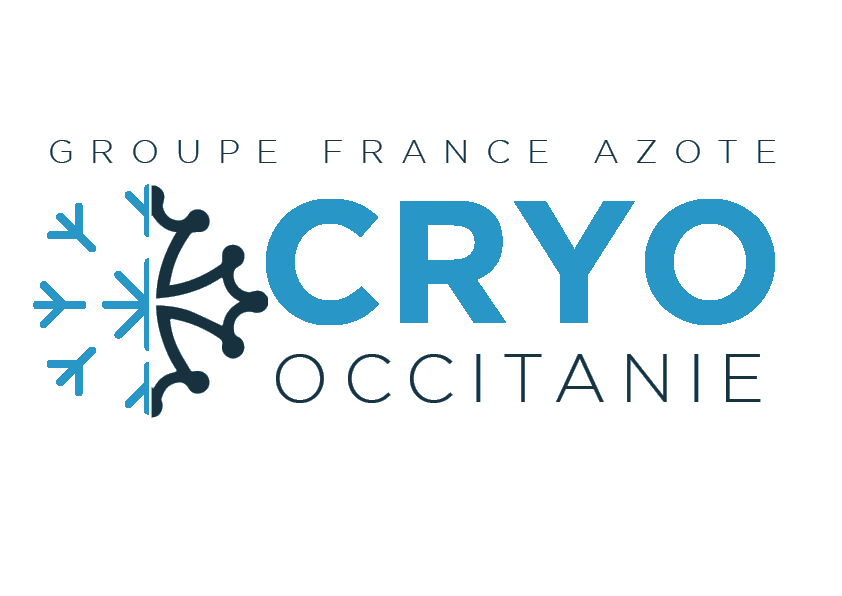 Logo Cryo Occitanie : Logo avec une demi croix catalane et un demi-flocon