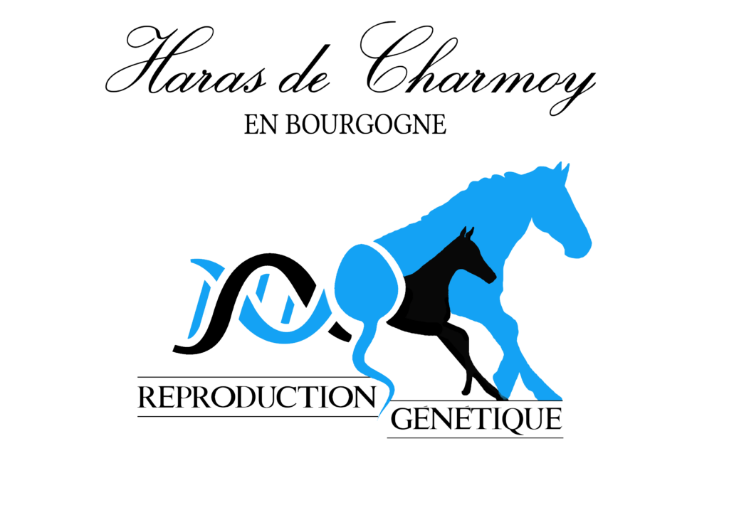 Logo du Haras de Charmoy : Logo melant de l'ADN, un spermatozoide et une jument et son poulain